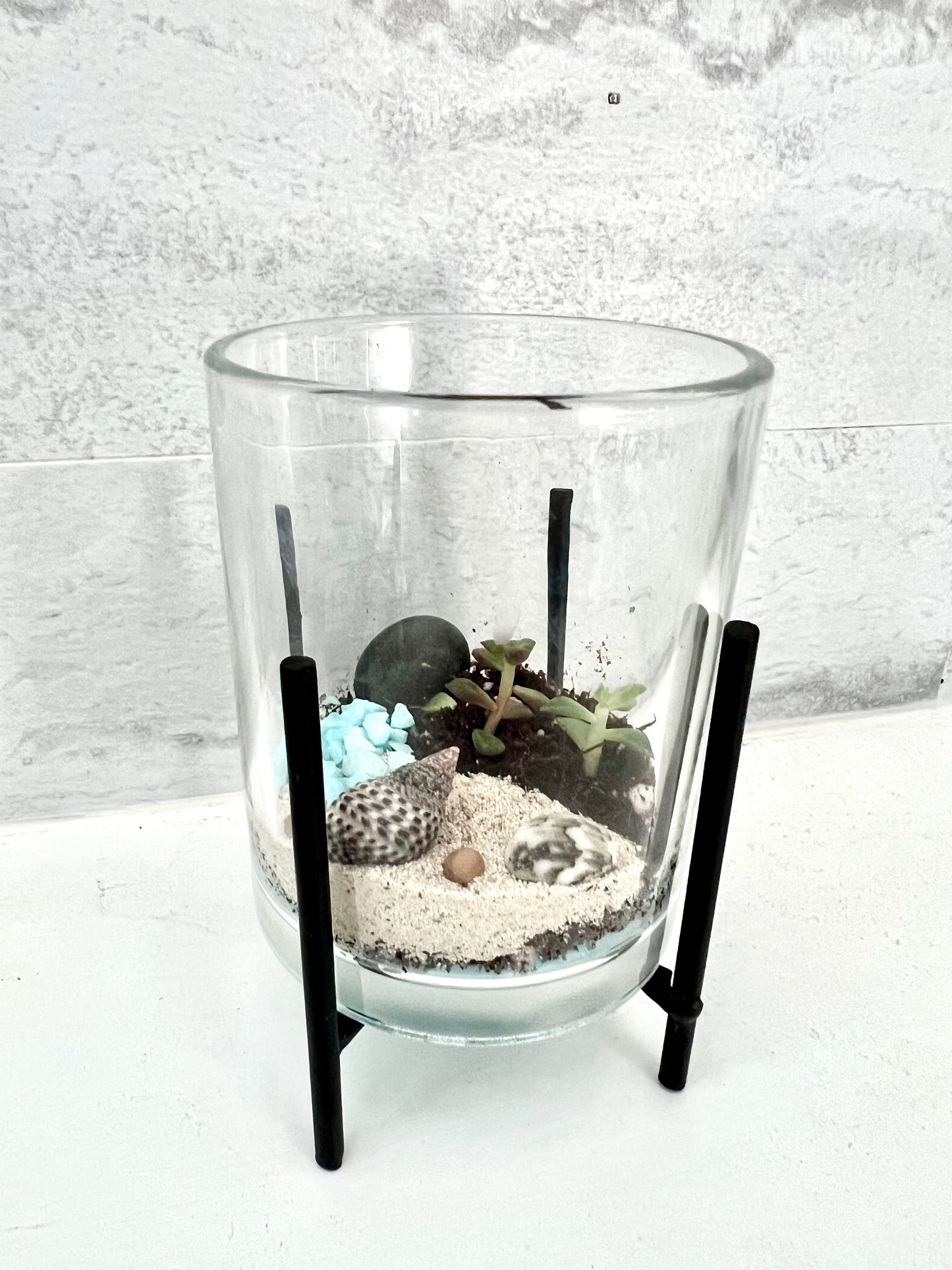 Land & Sea Beach Front, Micro Terrarium with stand