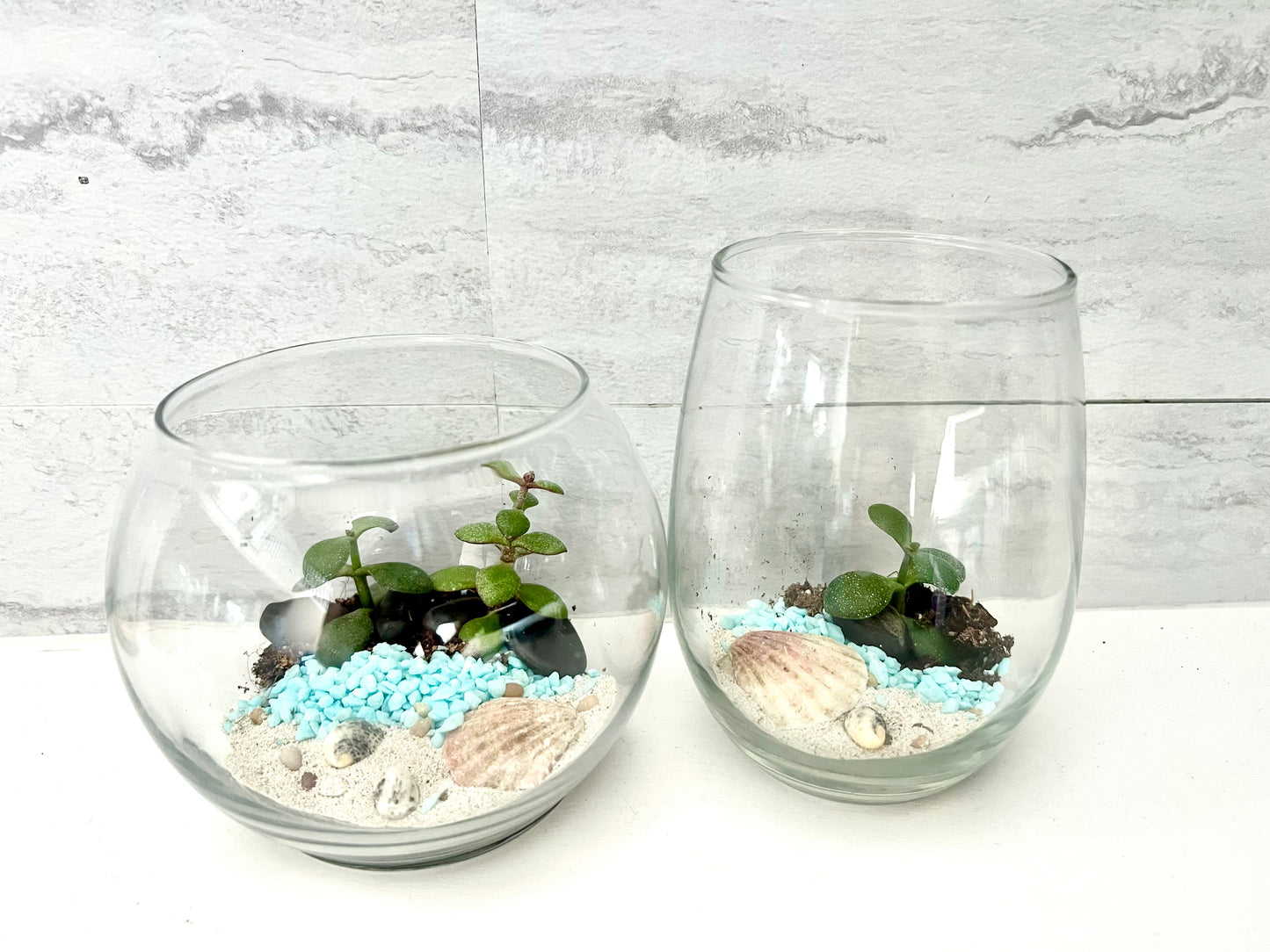 Land & Sea Beach Front, In Glass Vase