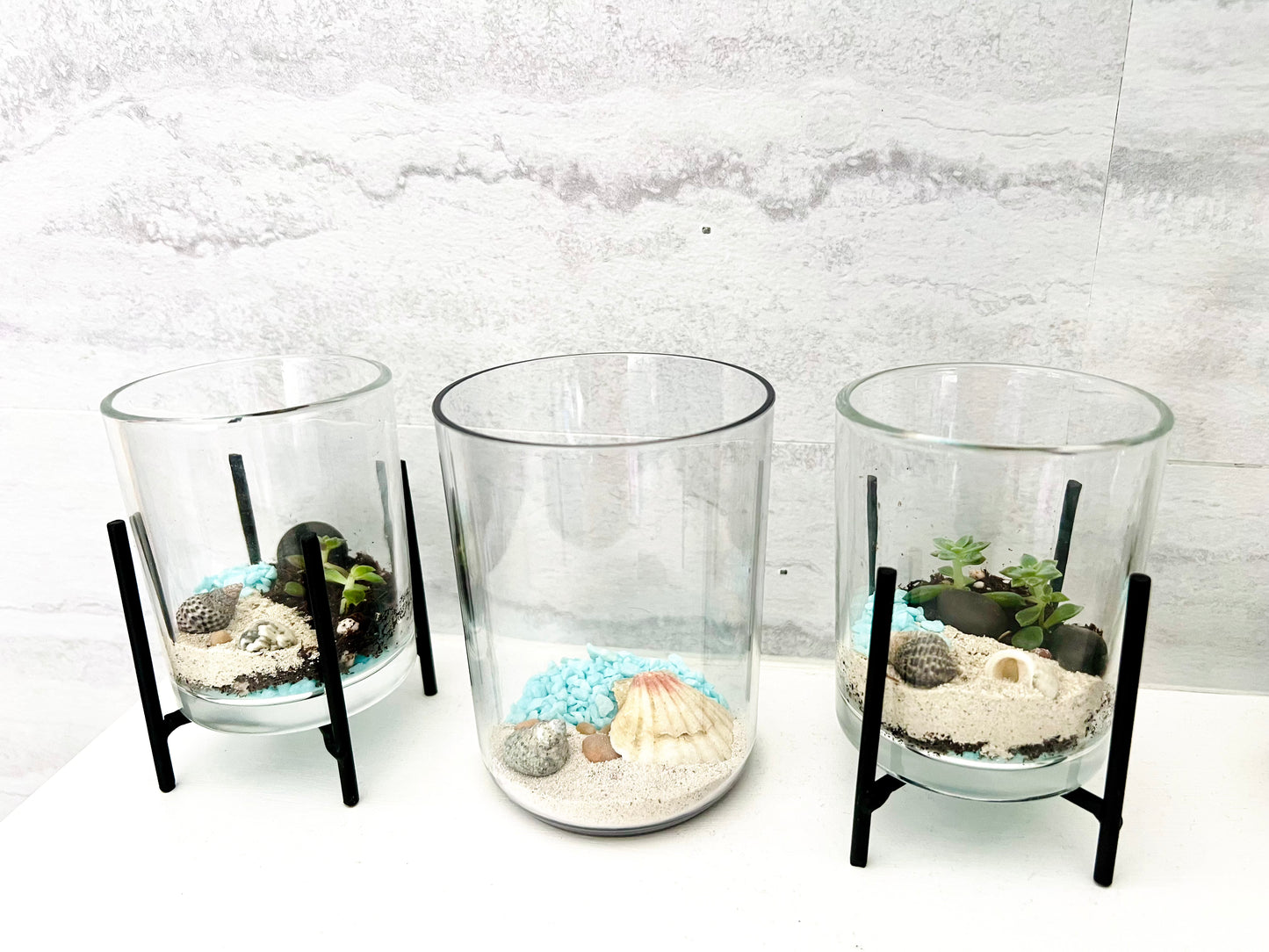 Land & Sea Beach Front, Micro Terrarium with stand