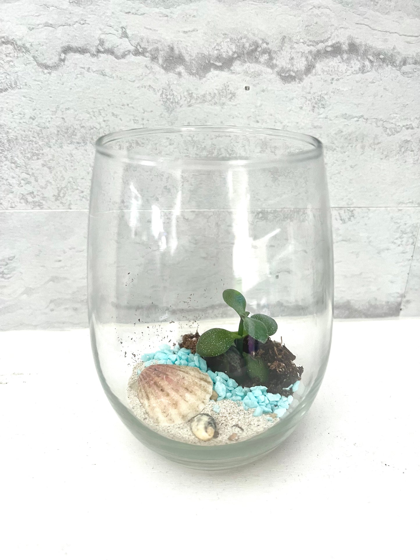 Land & Sea Beach Front, In Glass Vase