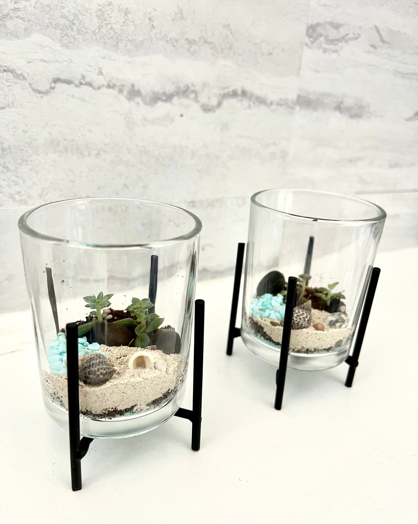 Land & Sea Beach Front, Micro Terrarium with stand